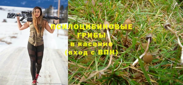синтетический гашиш Алексеевка