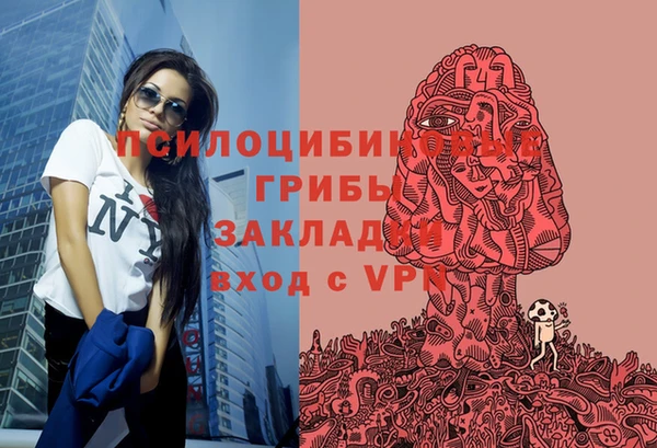 синтетический гашиш Алексеевка